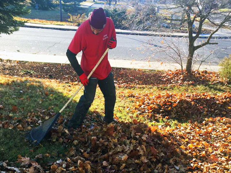 Leaf-Removal-Spokane